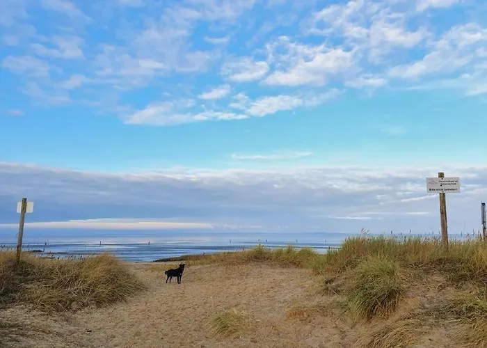 Appartementhaus-kogge-wohnung-9 Lejlighed